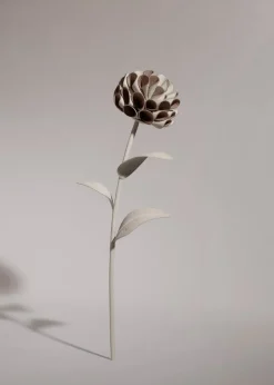 Fleur Dalium