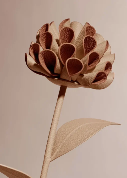 Fleur Dalium