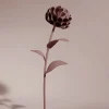 Fleur Dalium