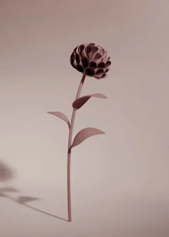 Fleur Dalium