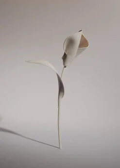 Fleur Pili