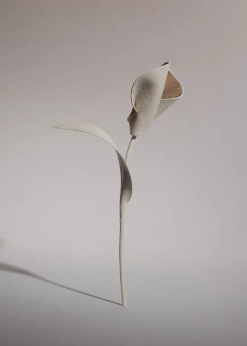 Fleur Pili