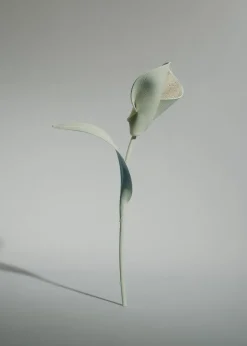 Fleur Pili