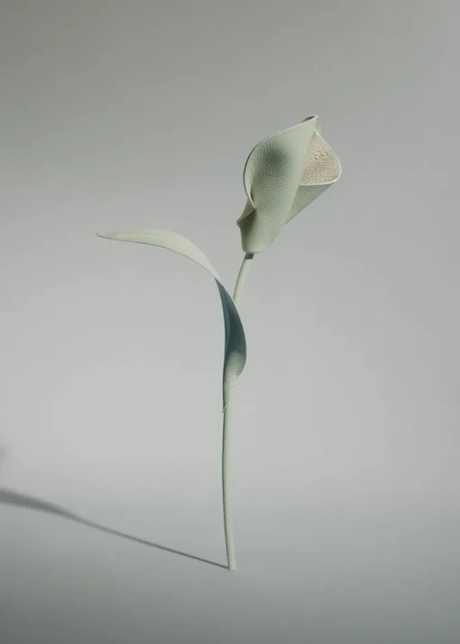 Fleur Pili