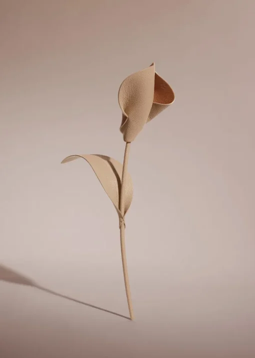 Fleur Pili