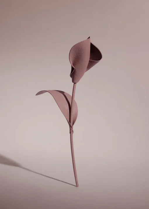 Fleur Pili