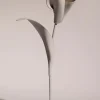 Fleur Pili