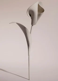 Fleur Pili