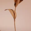 Fleur Pili