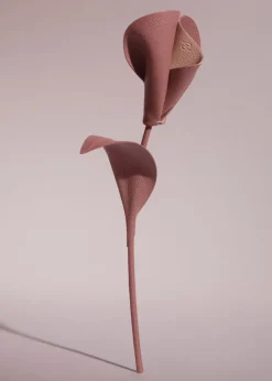 Fleur Pili