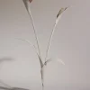 Fleur Touka