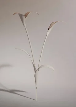 Fleur Touka