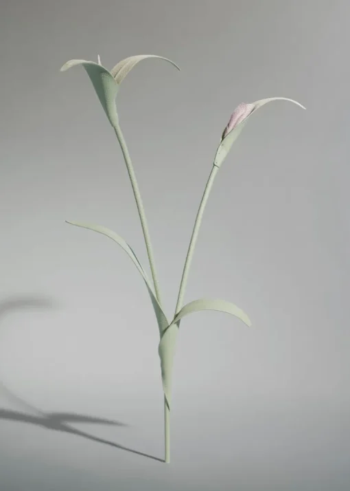 Fleur Touka