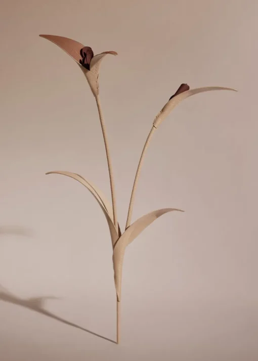 Fleur Touka