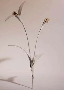 Fleur Touka