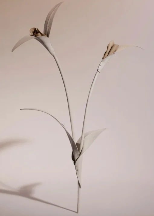 Fleur Touka