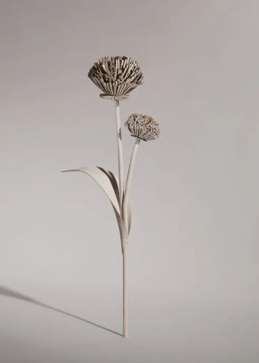 Fleur Tul