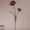 Fleur Tul