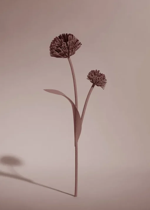Fleur Tul
