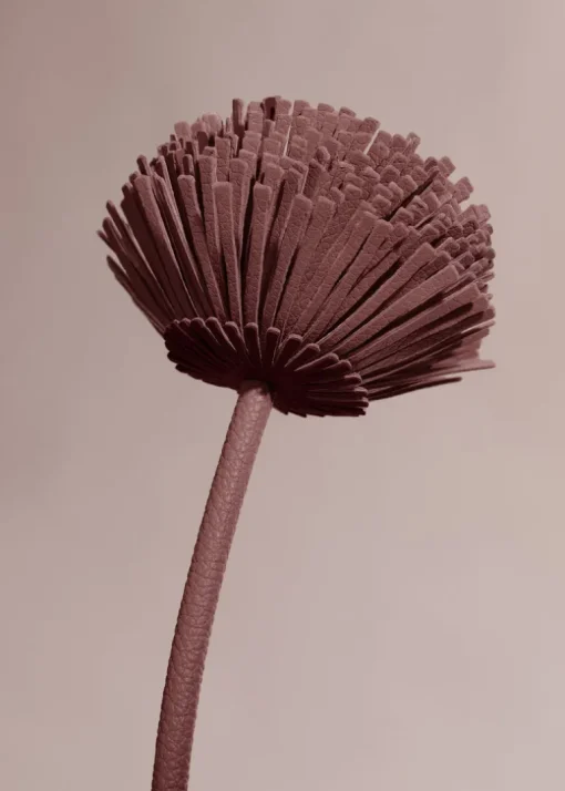 Fleur Tul