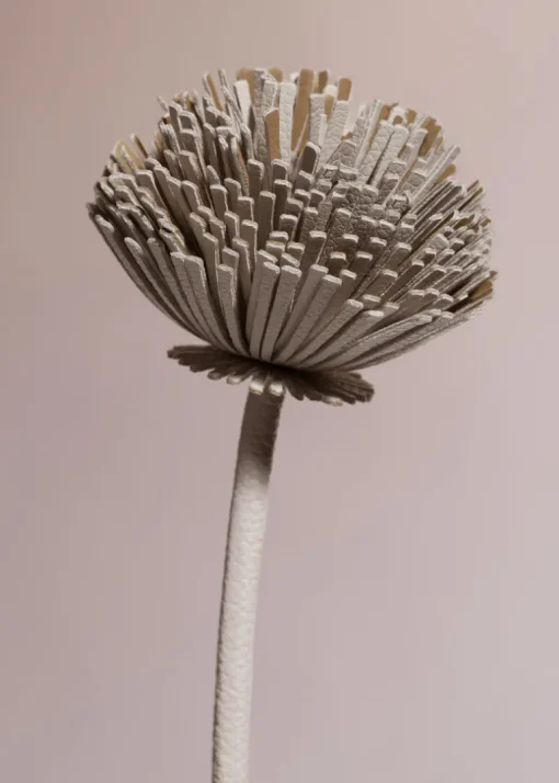 Fleur Tul