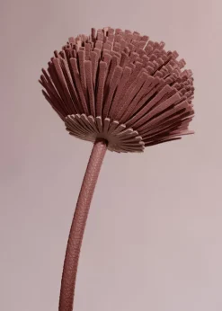 Fleur Tul