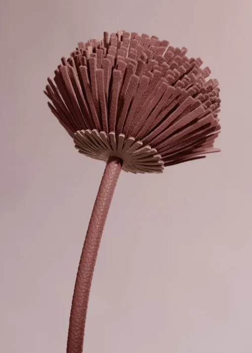 Fleur Tul